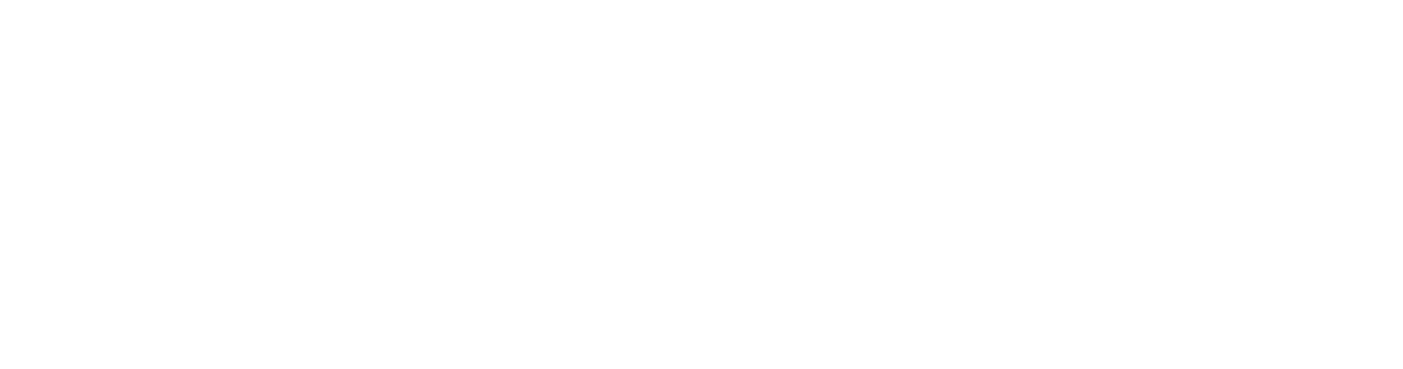logo audaces