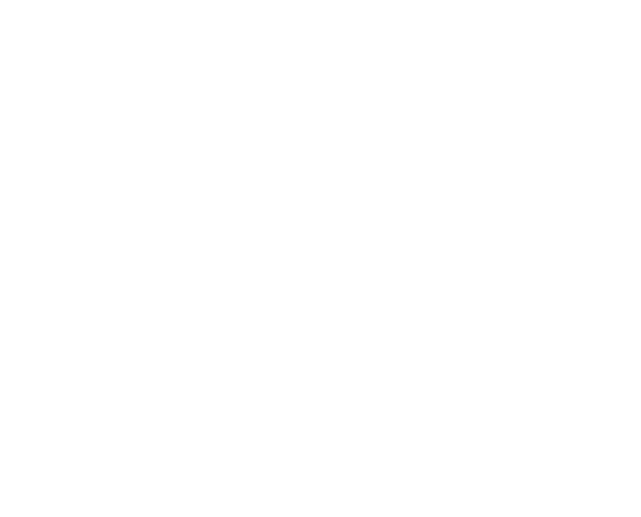 Caso de Exito Vitor Zerbinato