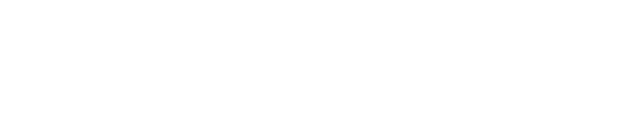 Audaces