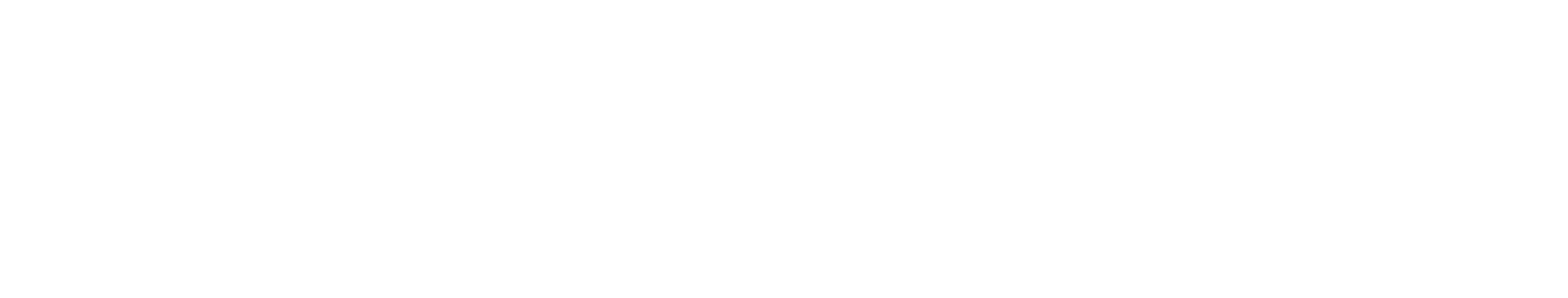 Audaces
